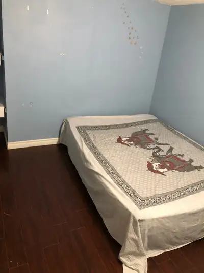 One private bedroom available in 2 bedroom basement