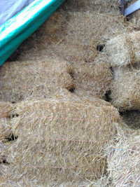 Straw For Sale!