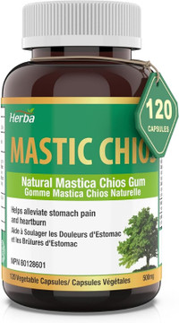 Herba Mastic Gum Capsules 500mg – 120 Capsules | Stomach Pain, H