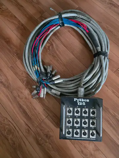 100 foot MICROPHONE SNAKE, View more