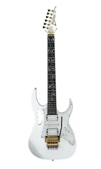 Wanted .. a hardshell case that will fit an Ibanez Jem