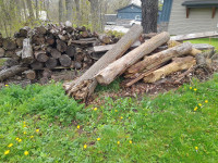 Dry wood / firewood 