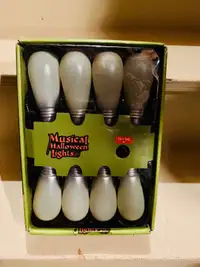 NEW in Box Halloween Magical Sound Flickering Light String 
