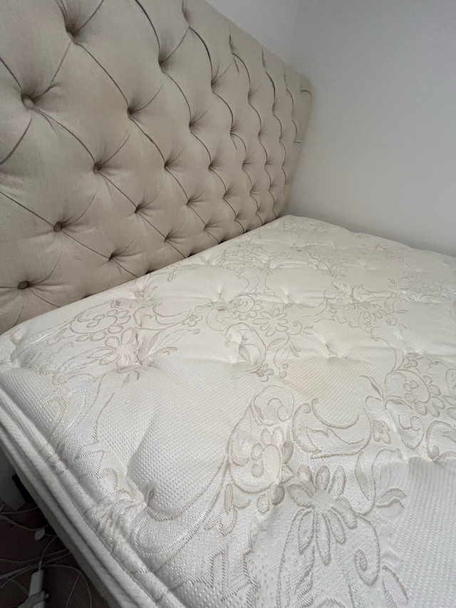 Beautiful POTTERY BARN Headboard + Bed  in Beds & Mattresses in North Shore - Image 3