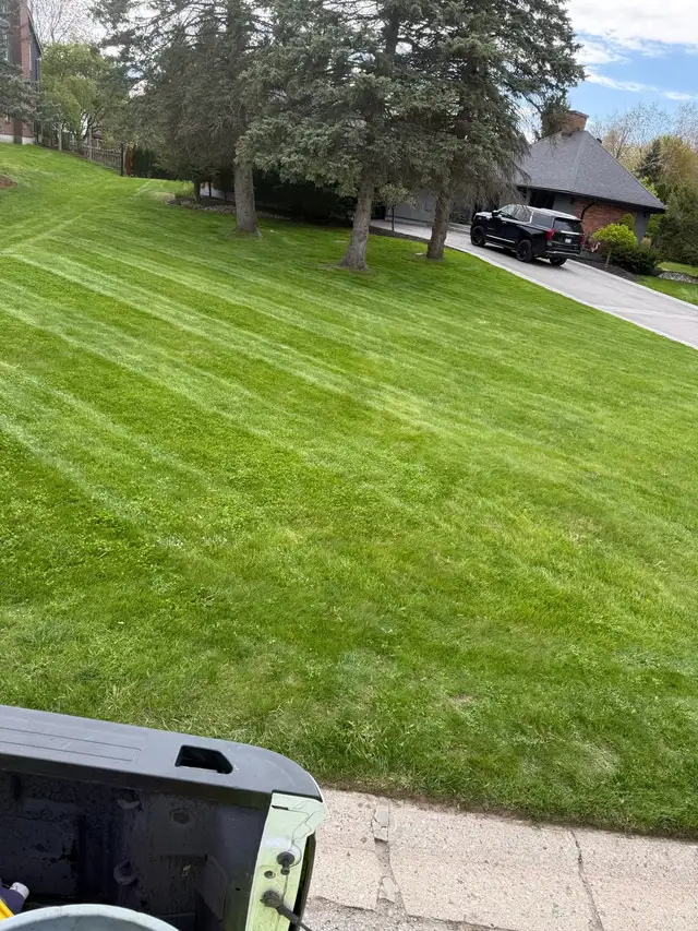 landscape Services,grass cutting in Lawn, Tree Maintenance & Eavestrough in London - Image 5