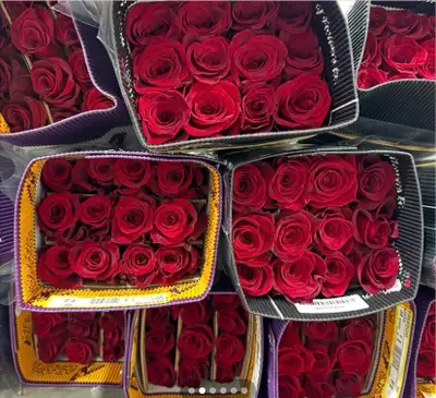 Roses  bunch, View more