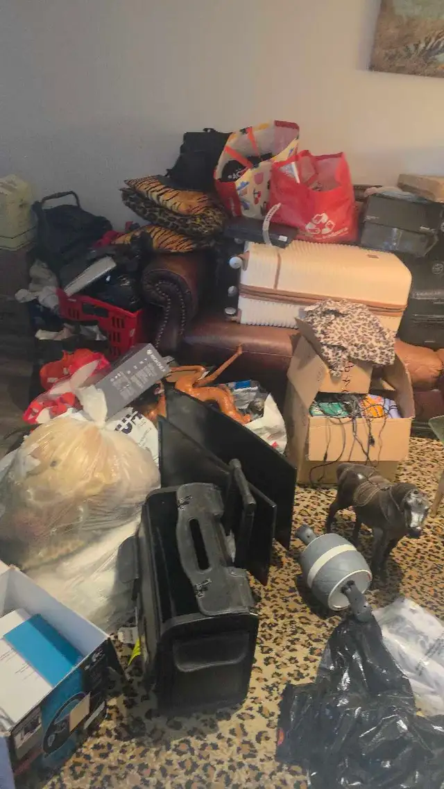 Home Cleaning Services  $25/h559731876372817925
