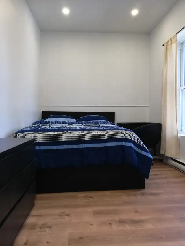 Downtown Furnished and Nice Room for rent, Metro Berri-Uqam62863325584515122