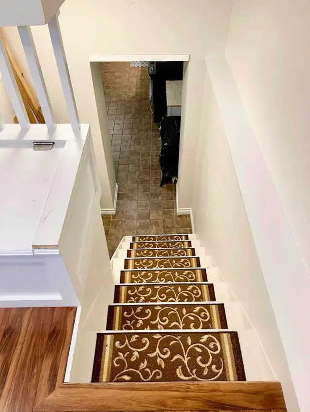 1 bedroom basement apartment for rent .