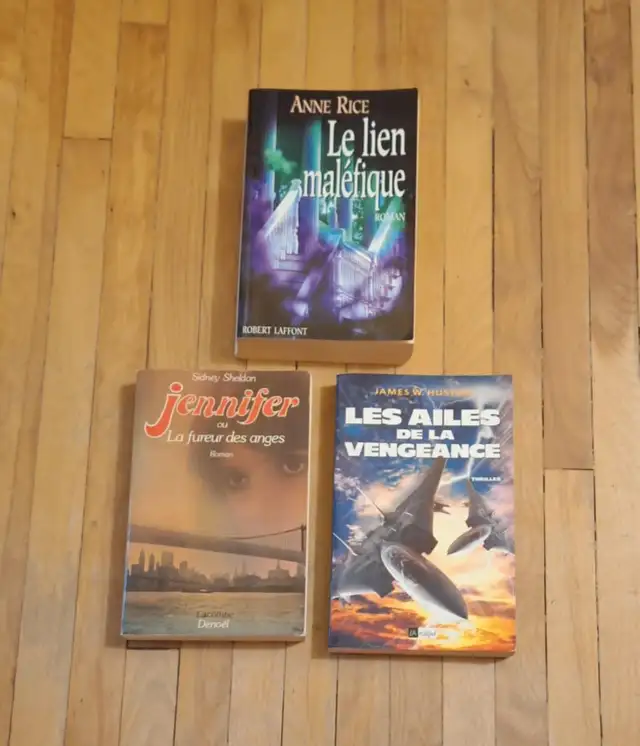 6 livres/$1. chacun. Anne Rice: LE LIEN MALÉFIQUE. Etc. in Fiction in Gatineau - Image 2