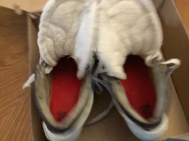 Senior CCM Goalie Skates Model 550 Size 8.5? in Hockey in Windsor Region - Image 4