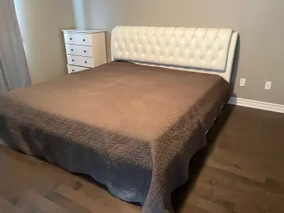 Good condition Clean Bed only Leather
