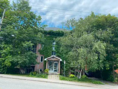4.5 Vieux Nord, (sous-location) Très beau et grand logement, situé au dernier étage (pas de voisin a...