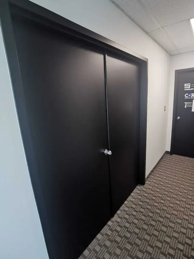 PLATINUM PRO PAINTING65561282463489120