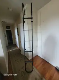 RV ladder