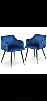 Blue velvet Chairs