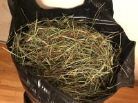 Green leafy grass hay and Timothy pellet for small animal 