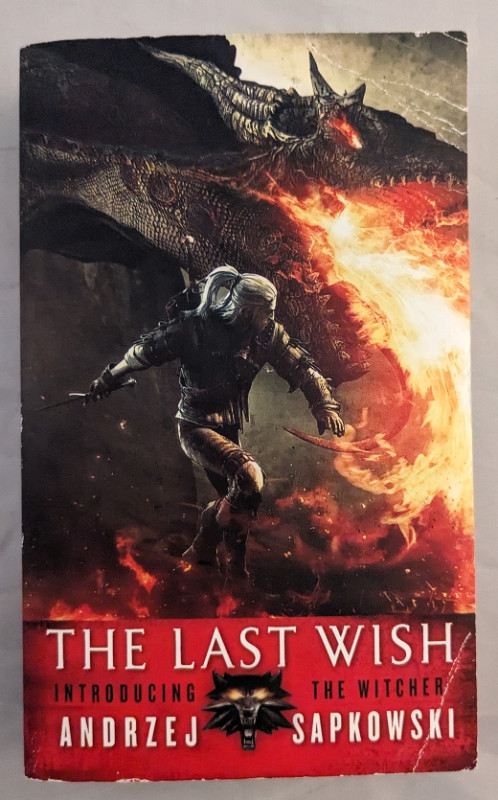 Witcher: The Last Wish by Andrzej Sapkowski paperback in Fiction in Oakville / Halton Region