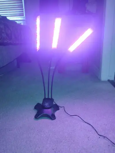 Cleaning House , View more