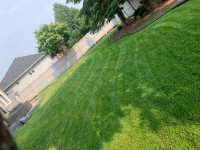 Lawn care and landscaping!