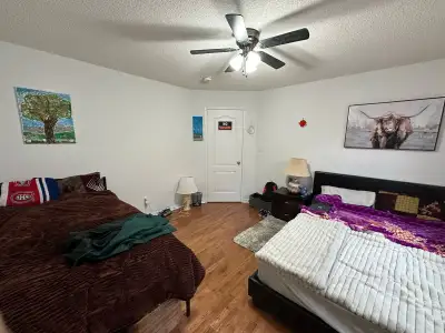 private  room for rent
