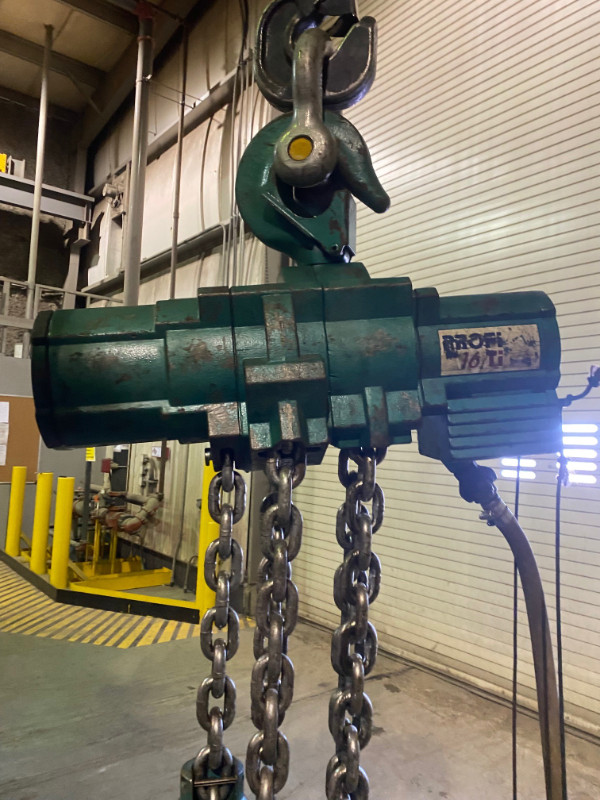 Profi 16 Ton Pneumatic Hoist in Other in Strathcona County