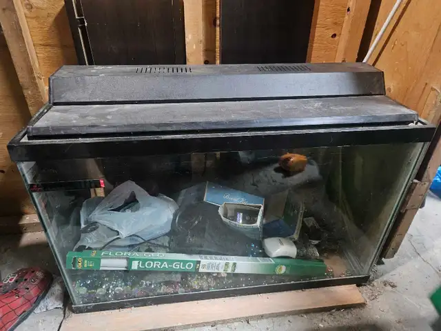 aquarium  in Accessories in Saint-Jean-sur-Richelieu - Image 3