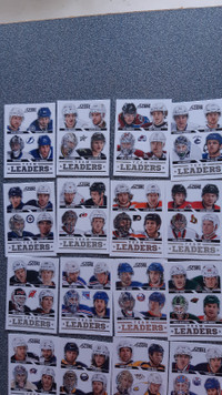 2013-14 Score 16 carte hockey meneur d'équipe bordure blanche