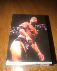 Vintage WWF WWE Smackdown 1999 Complete Set Trading Cards -Title