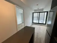 For rent: 1 bedroom, 1 bathroom brand new condo on 1 Jarvis St.