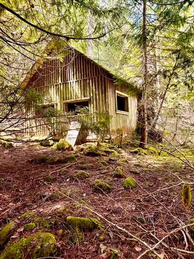 A have a buyer who's looking for a small three season cabin, cottage in the woods preferably next to...