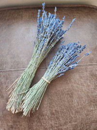 Dried Lavendar Bunch