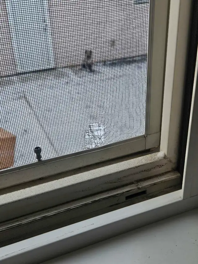 Window Vinyl Repair/ Glass & screen repair62864742134146122