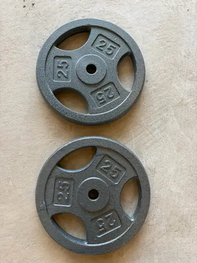 Weight Plates 2x25lbs, View more