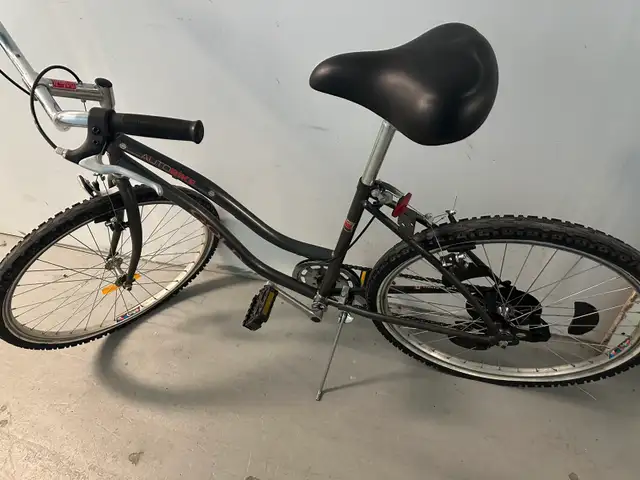 Raleigh Bicycle477289859441633286