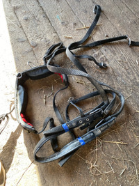 Pony Harness 