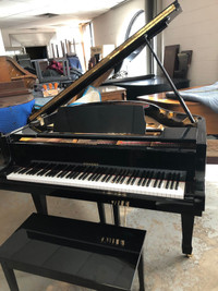 Hohner Grand Piano 5'2. TUNING & DELIVERY INCLUDED