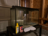 30 gallon fish tank set 