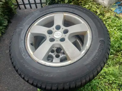 Continental 215/65R16 winter tires on Hyundai stock rims. Fit on 2012 Tucson or same bolt pattern. C...
