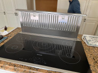 Thermador induction cooktop and Kitchenaid fan 