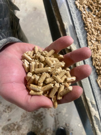 Spruce/pine litter wood pellets