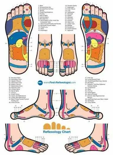 Reflexology Massage in Massage Services in Dartmouth - Image 4