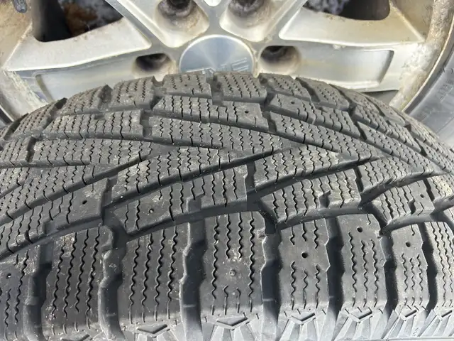 Winter tires on rims in Tires & Rims in Cape Breton - Image 2