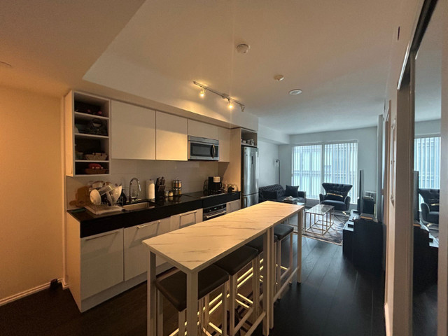 1+1 Bedroom Condo for rent @Shuter Street Downtown Toronto in Long Term Rentals in City of Toronto - Image 2