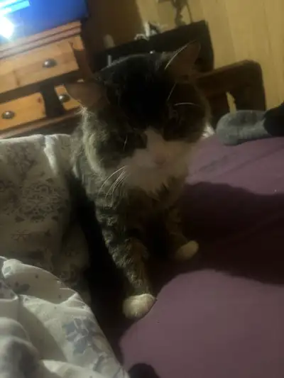 need to rehome this guy, View more