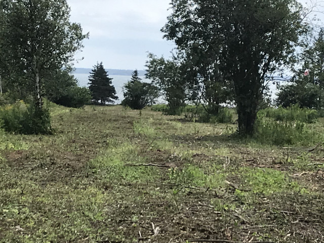 WATERFRONT    8 ACRES  VACANT LOT in Land for Sale in Moncton - Image 3