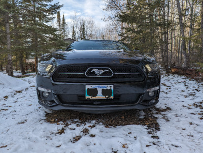 2015 Ford Mustang 50th Anniversary ecoboost Premium