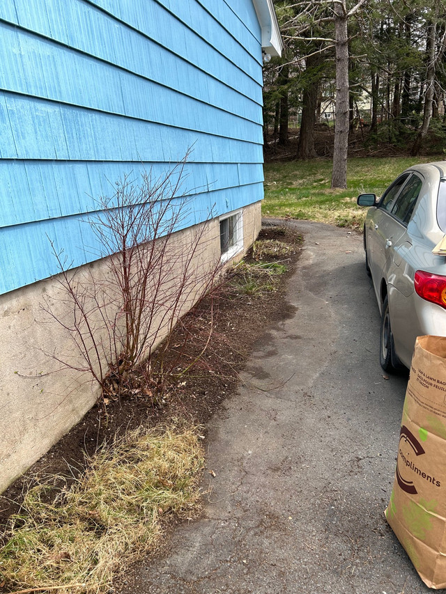 Spring Clean Ups in Lawn, Tree Maintenance & Eavestrough in Dartmouth