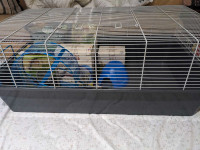 Cage à hamster 