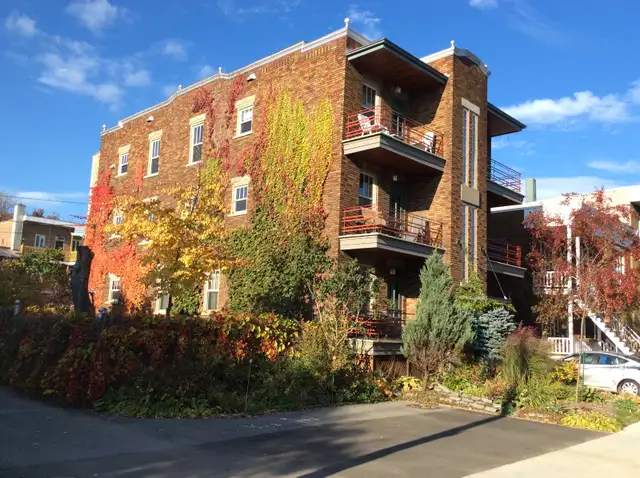 Très beau 4½ salon double au cœur du Vieux-Limoilou